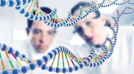 癌癥基因檢測(cè) 為何成為健康領(lǐng)域的焦點(diǎn)？